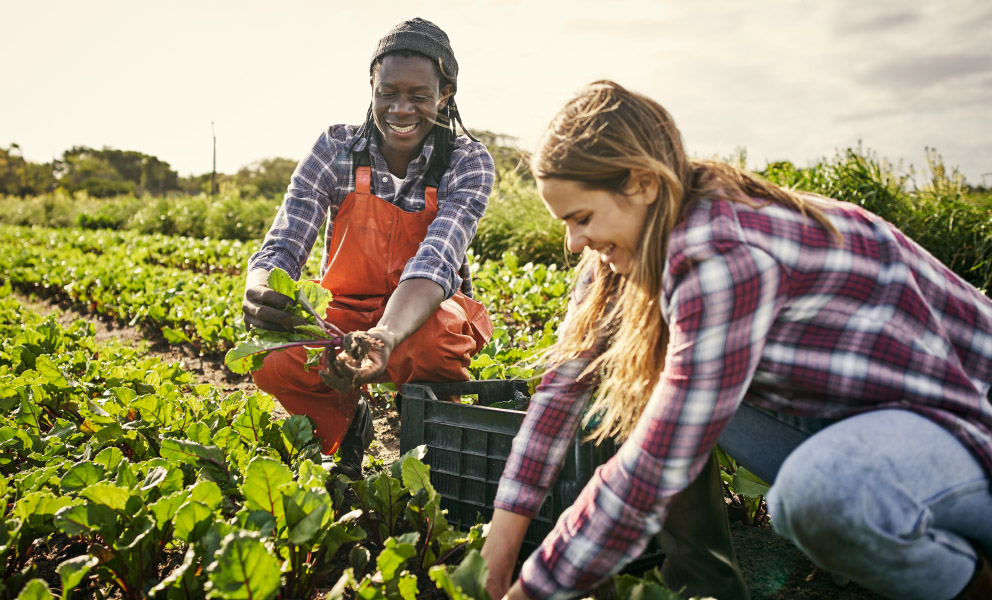 AGCO Agriculture Foundation Launches Africa Agribusiness Qualification Program