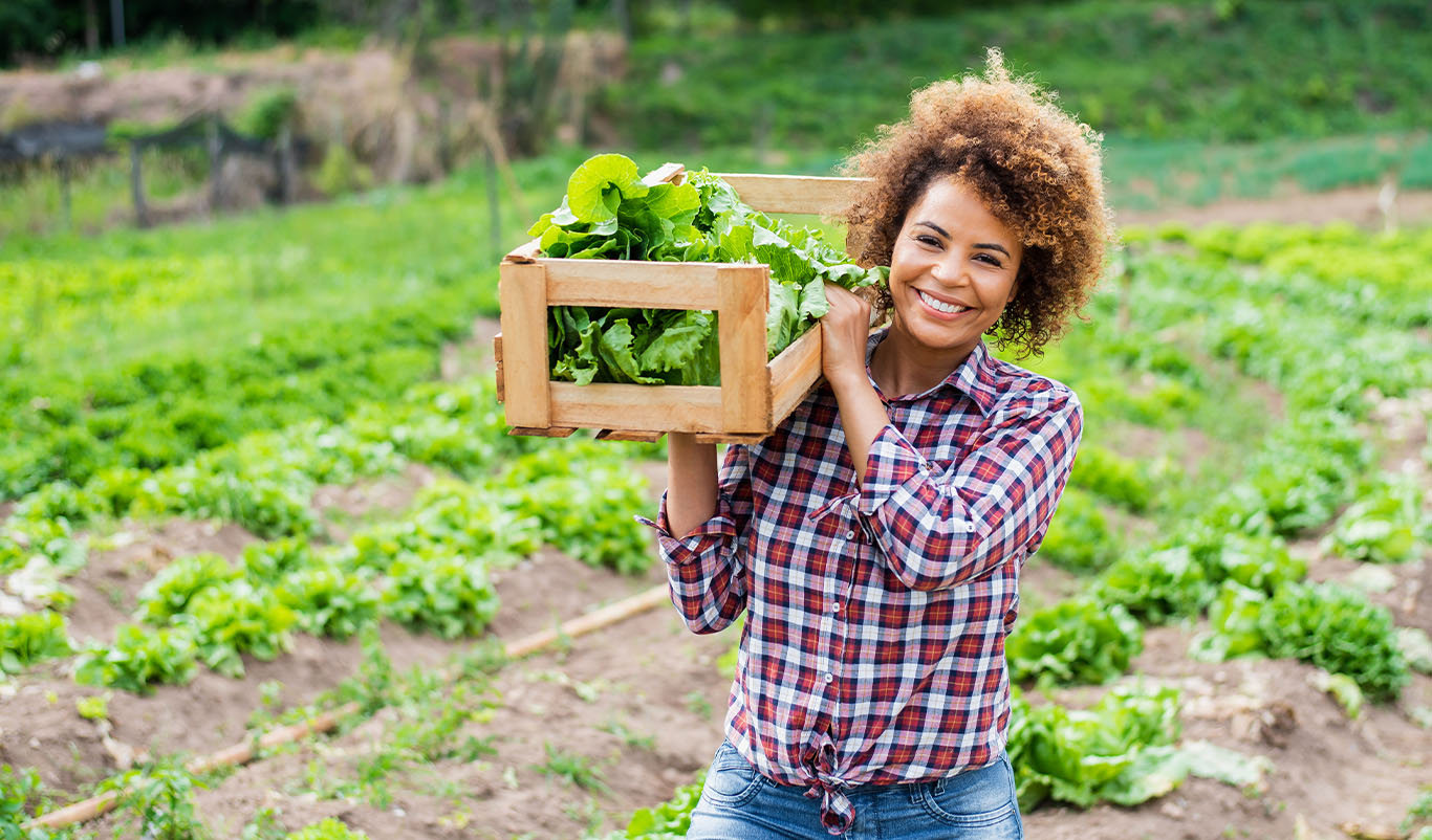 Agriculture Foundation hero image