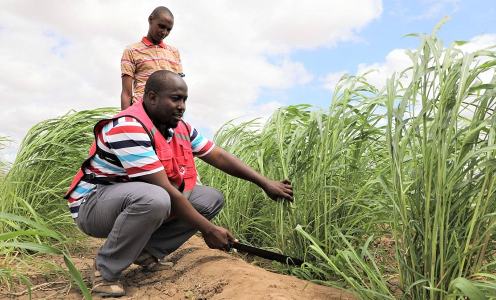 AGCO Agriculture Foundation and Kenya Red Cross Society Announce Second Phase of Project Partnership Addressing Climate Change and Food Insecurity in Kenya’s Dadaab Refugee Complex