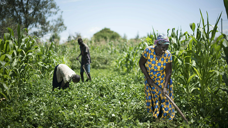 “The unfortunate reality is that poorer countries and vulnerable communities are disproportionally affected by the economic decline associated with the pandemic,” said Lucinda Smith, Chairman, AGCO Agriculture Foundation.