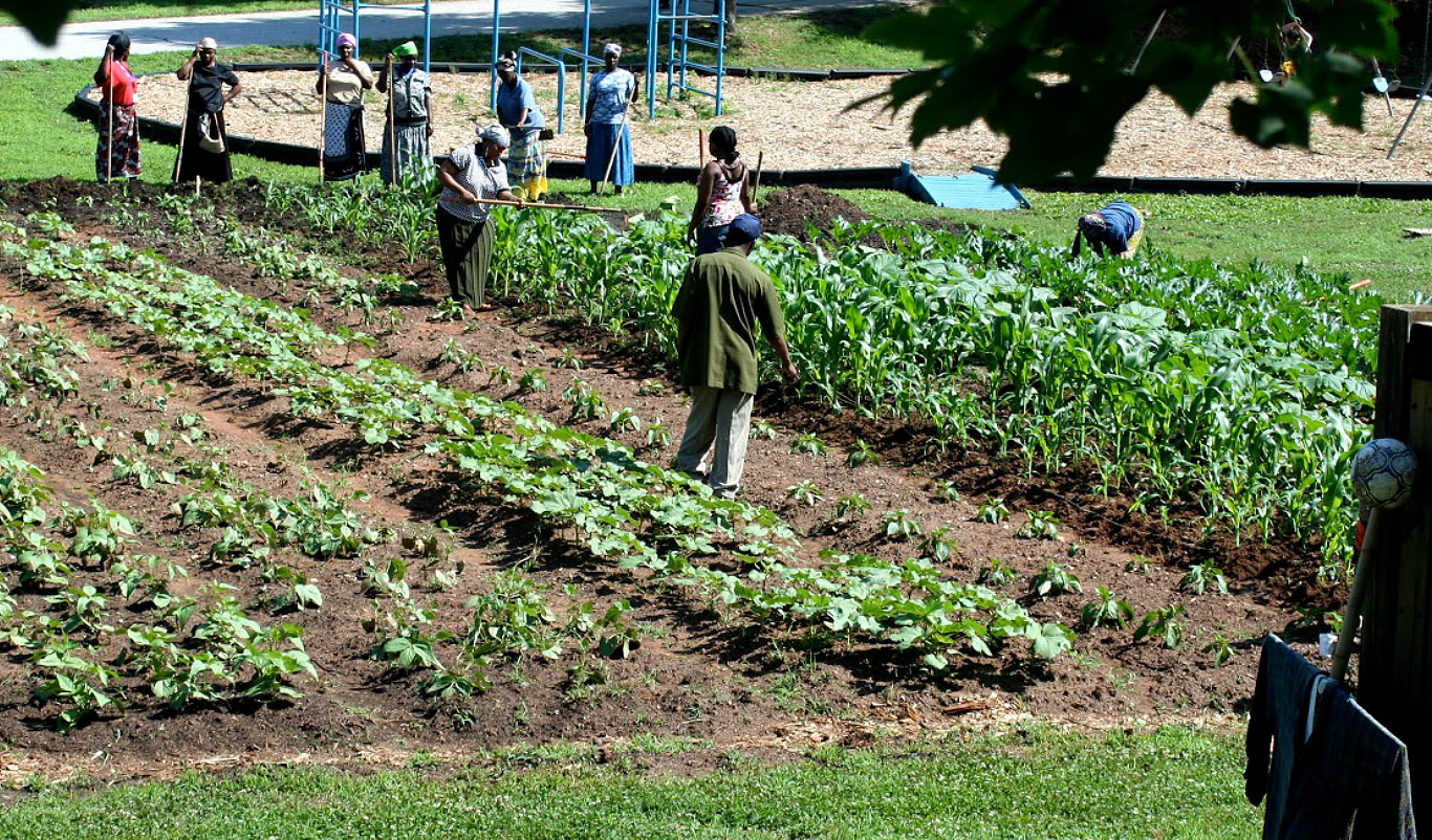  The AGCO Agriculture Foundation and Global Growers Network Partner to Expand Flagship Agriculture Learning Center in Clarkston, Ga., USA