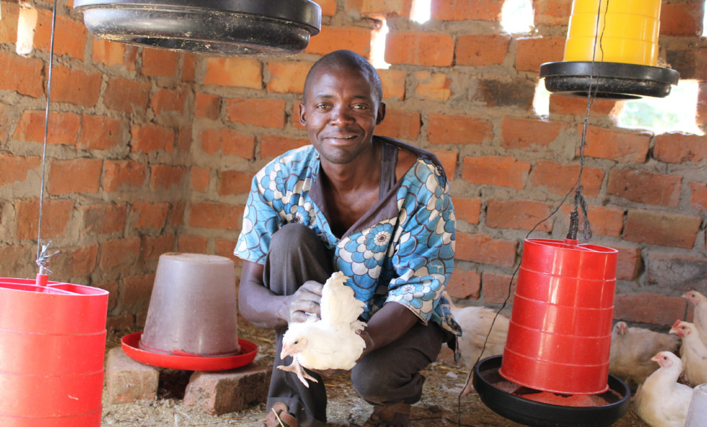 AGCO Agriculture Foundation’s Poultry Project Empowers Farming Communities to Optimize the Growing Poultry Market in Zambia